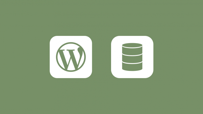 How to search and replace data in the WordPress database?