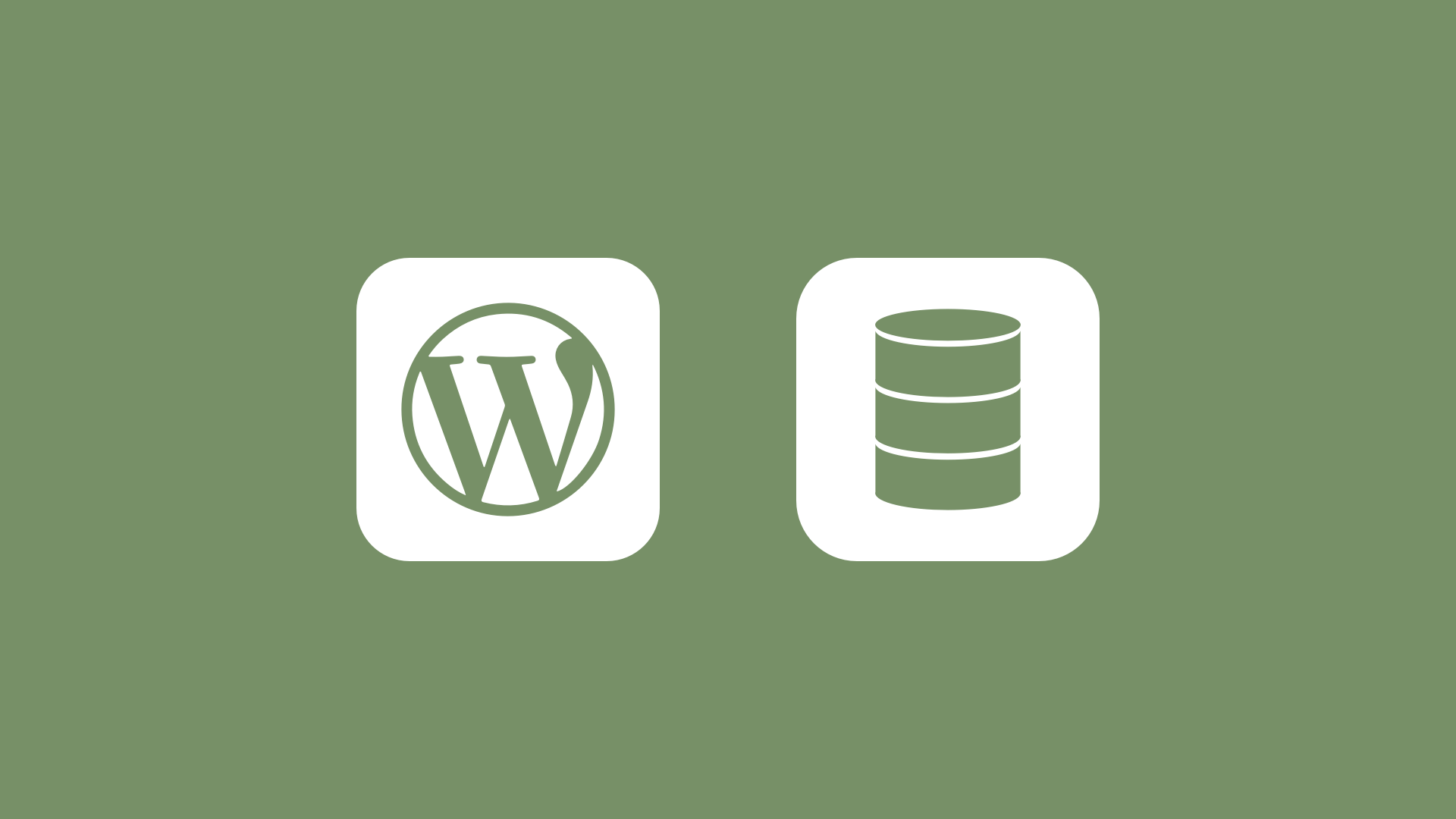 How to search and replace data in the WordPress database?