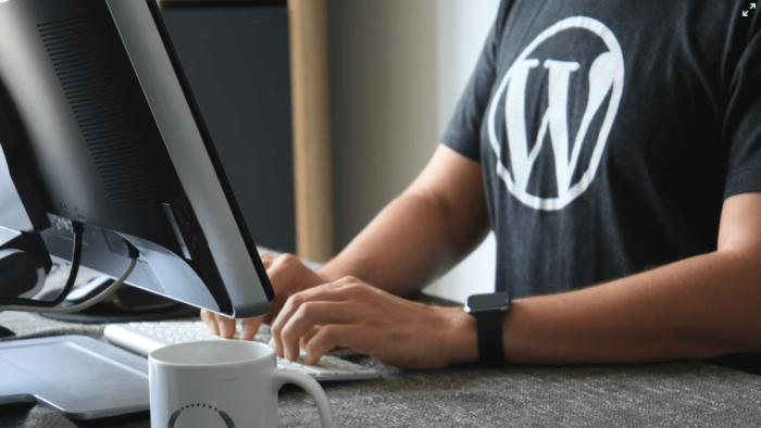 How to take care of WordPress updates?