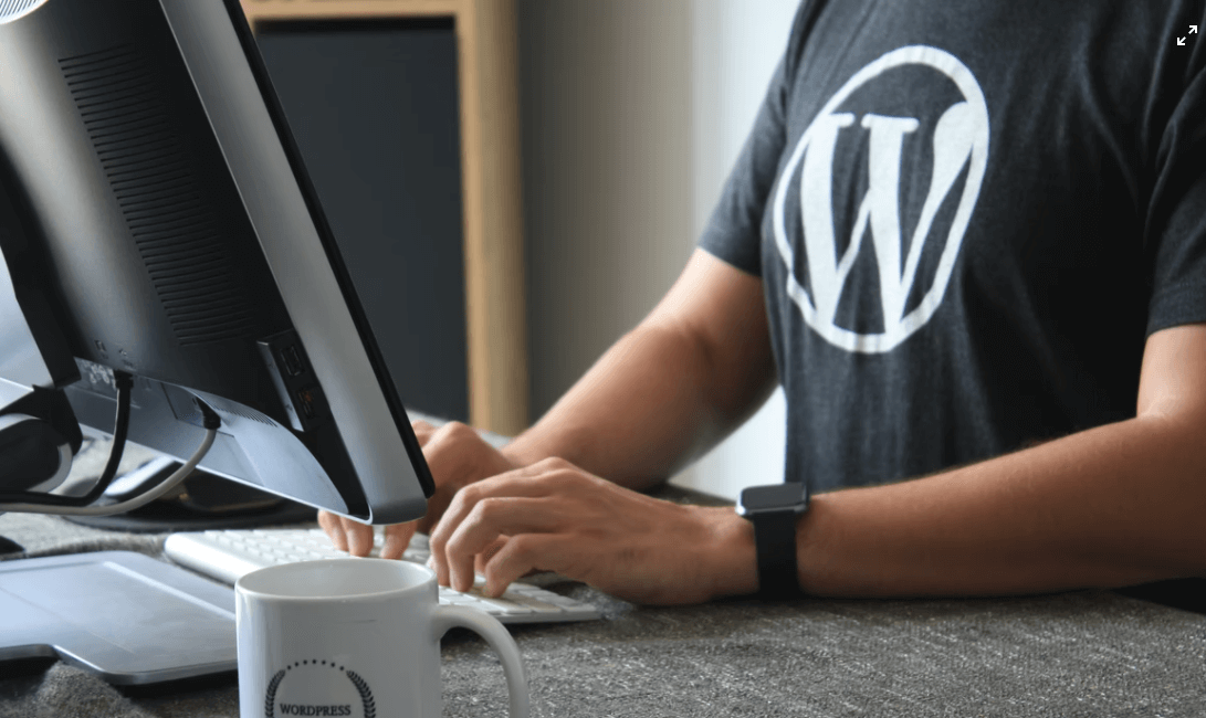 How to take care of WordPress updates?